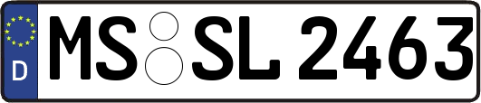 MS-SL2463