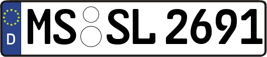 MS-SL2691