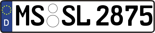 MS-SL2875
