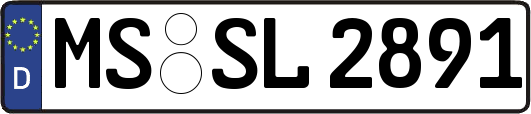 MS-SL2891