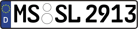 MS-SL2913