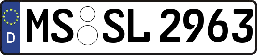 MS-SL2963