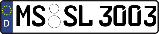 MS-SL3003