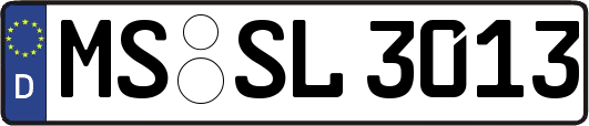 MS-SL3013