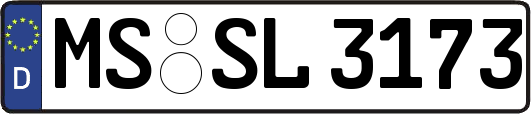 MS-SL3173