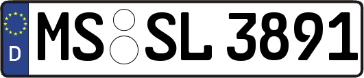 MS-SL3891
