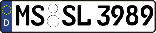 MS-SL3989