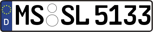 MS-SL5133