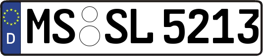 MS-SL5213