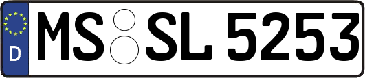 MS-SL5253