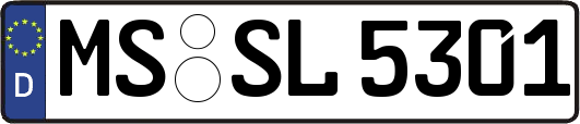MS-SL5301
