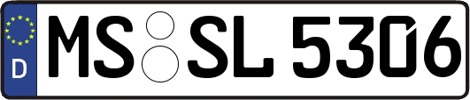 MS-SL5306