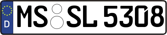 MS-SL5308