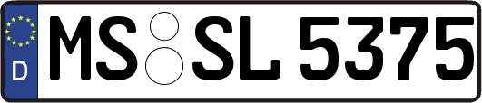 MS-SL5375