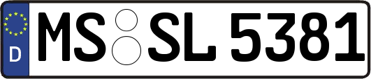 MS-SL5381
