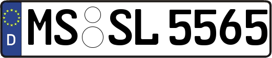 MS-SL5565