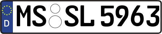 MS-SL5963