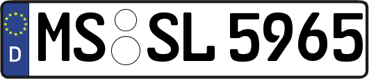 MS-SL5965
