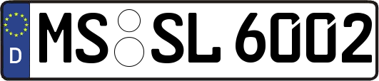 MS-SL6002
