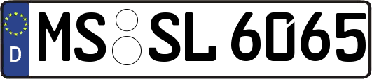 MS-SL6065