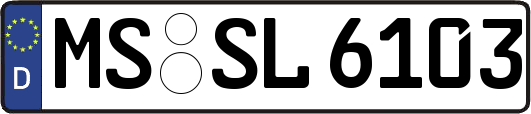 MS-SL6103