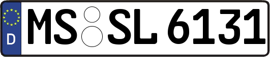 MS-SL6131