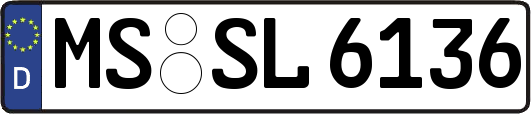 MS-SL6136