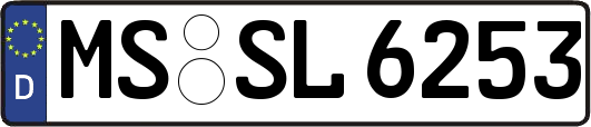 MS-SL6253