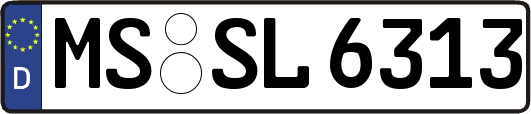 MS-SL6313