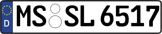 MS-SL6517