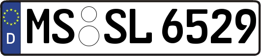 MS-SL6529