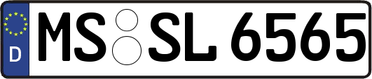 MS-SL6565