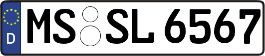 MS-SL6567