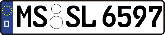 MS-SL6597