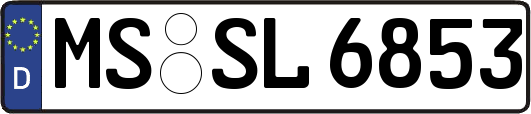 MS-SL6853
