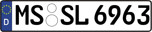 MS-SL6963