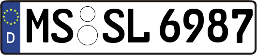 MS-SL6987