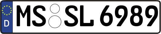 MS-SL6989