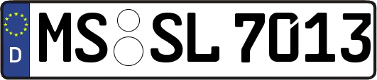MS-SL7013