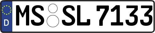 MS-SL7133