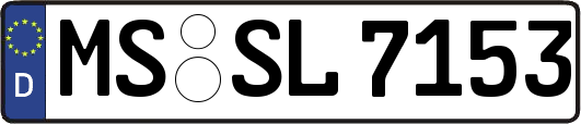 MS-SL7153