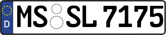 MS-SL7175