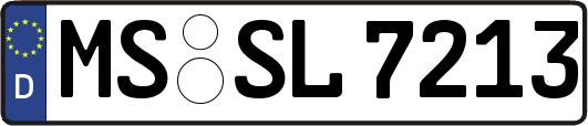 MS-SL7213