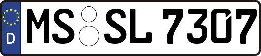 MS-SL7307
