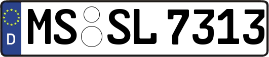 MS-SL7313
