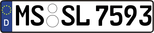 MS-SL7593