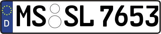 MS-SL7653