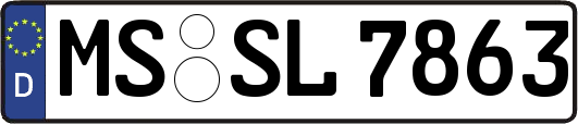 MS-SL7863