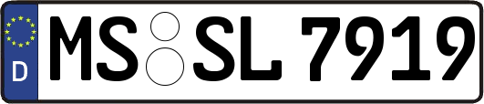 MS-SL7919