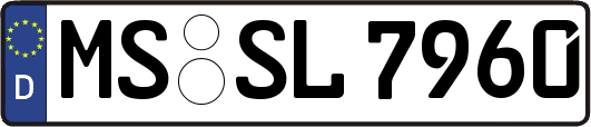 MS-SL7960